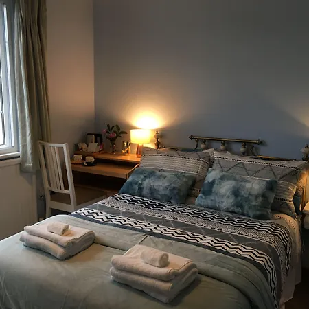 Leafy Suburban Bed And Breakfast-3